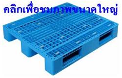 พาเลทพลาสติก พาเลทพลาสติก