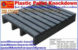 พาเลทพลาสติก Plastic Pallet